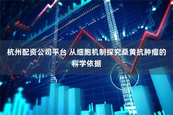 杭州配资公司平台 从细胞机制探究桑黄抗肿瘤的科学依据