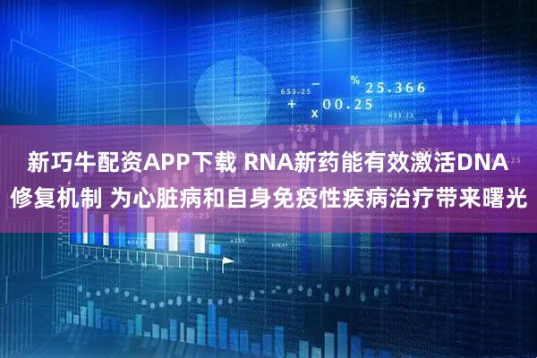 新巧牛配资APP下载 RNA新药能有效激活DNA修复机制 为心脏病和自身免疫性疾病治疗带来曙光