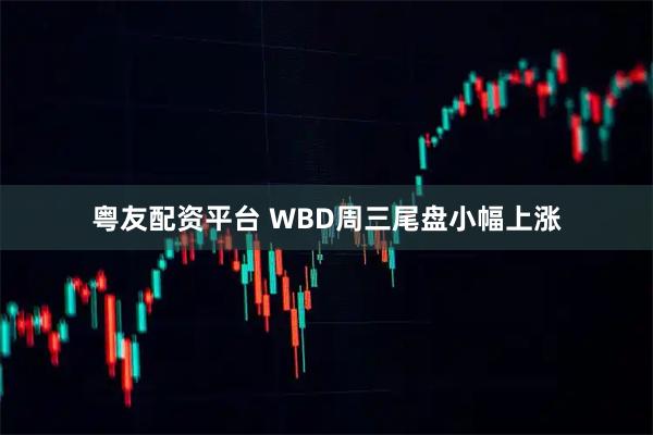 粤友配资平台 WBD周三尾盘小幅上涨