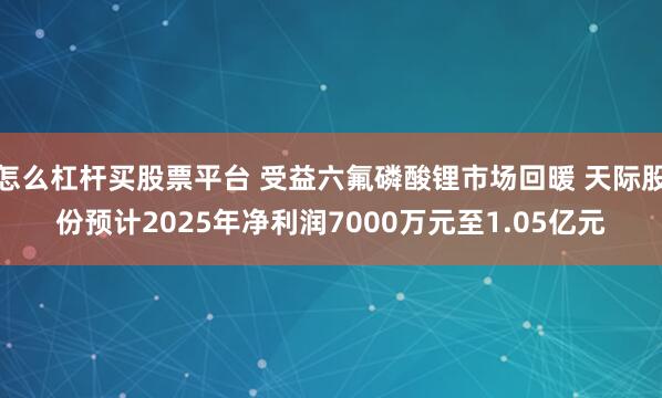 怎么杠杆买股票平台 受益六氟磷酸锂市场回暖 天际股份预计2025年净利润7000万元至1.05亿元
