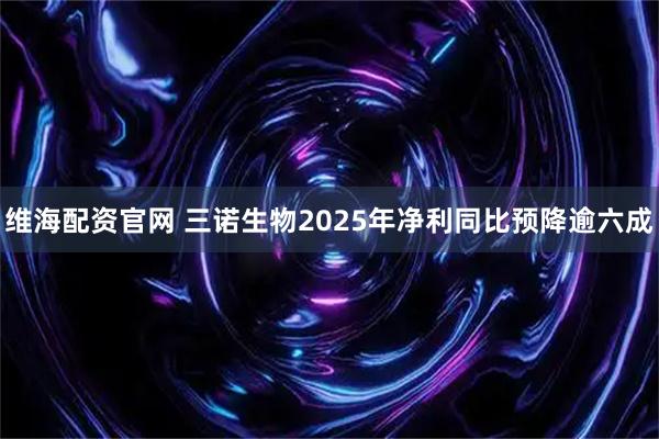 维海配资官网 三诺生物2025年净利同比预降逾六成